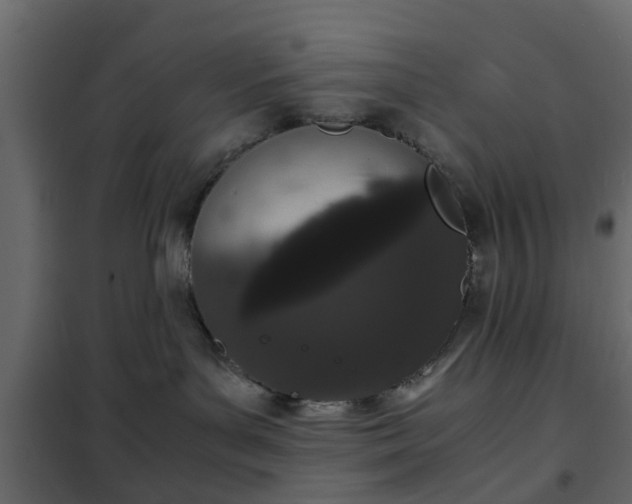 X0000102340143200808081140