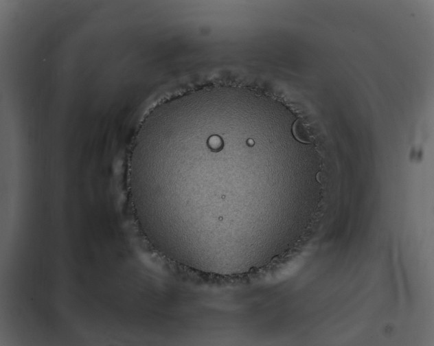 X0000102340144200808081140