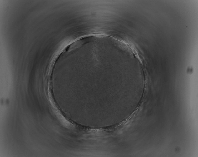 X0000102340145200808081139