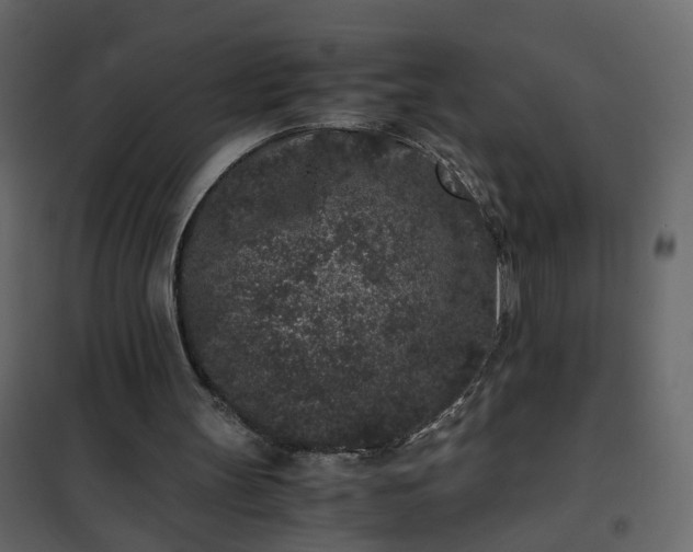 X0000102340147200808081139