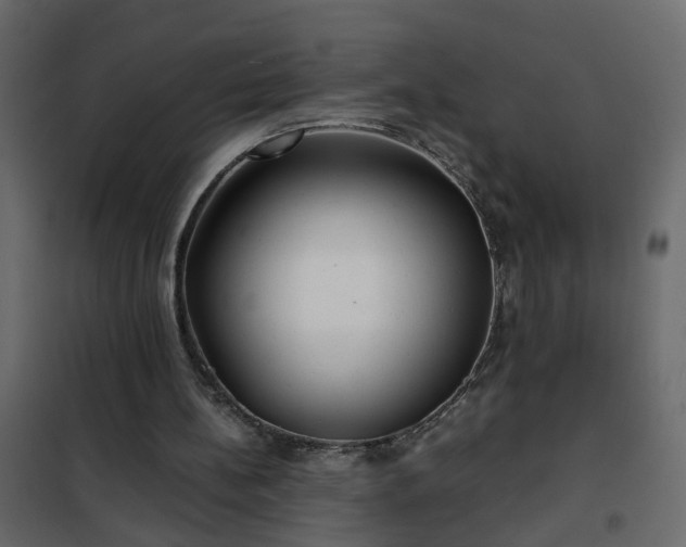 X0000102340148200808081139