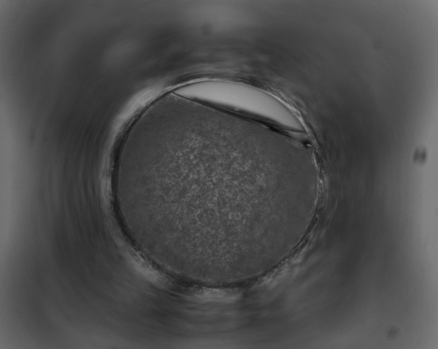 X0000102340149200808081139