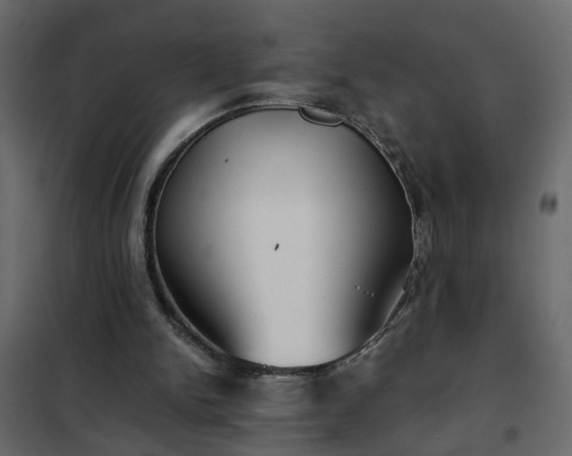 X0000102340150200808081139