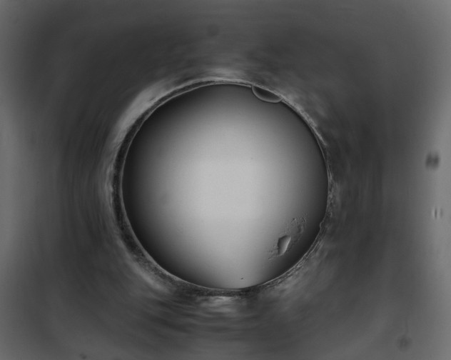 X0000102340151200808081139