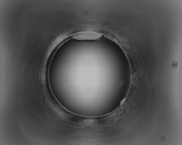 X0000102340152200808081139