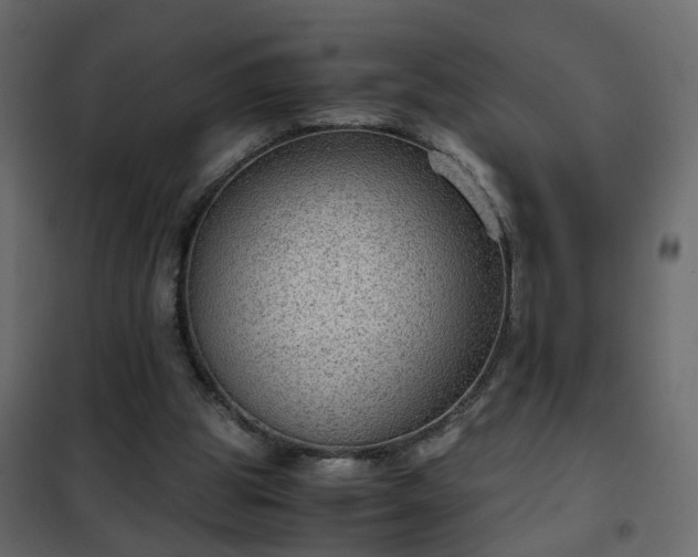 X0000102340153200808081139