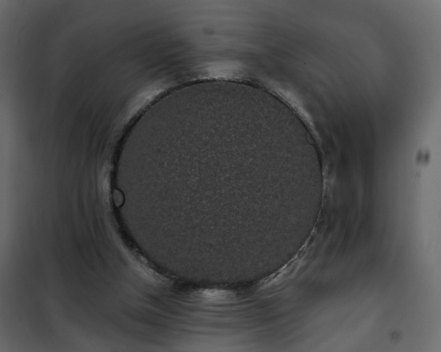 X0000102340154200808081139