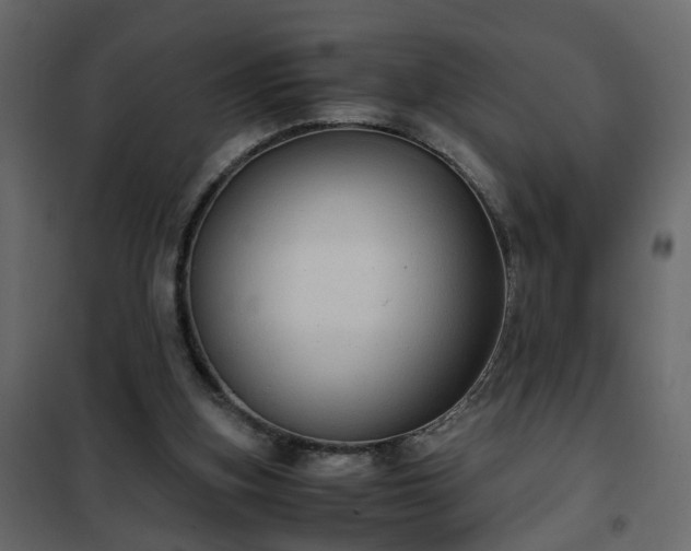 X0000102340155200808081139