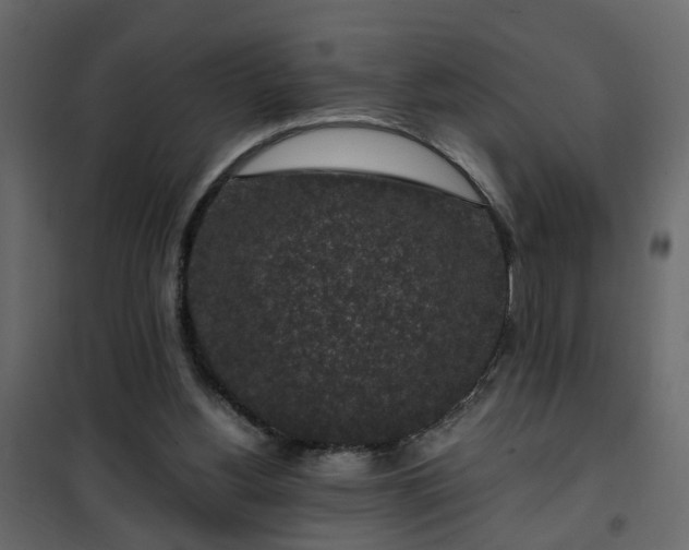 X0000102340156200808081139