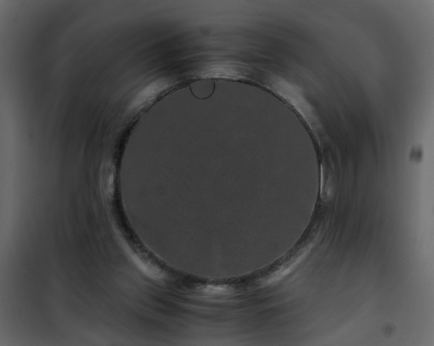 X0000102340157200808081139