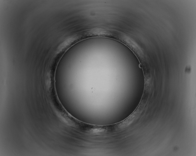 X0000102340158200808081139