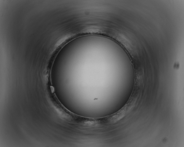 X0000102340160200808081139