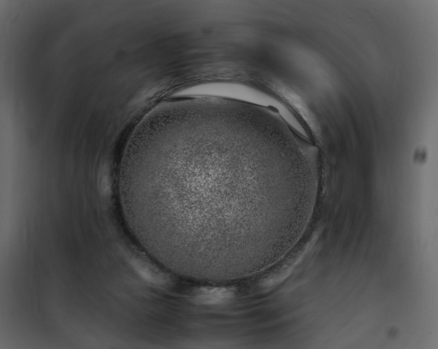 X0000102340161200808081139