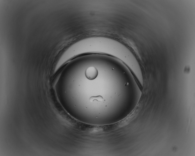 X0000102340162200808081139