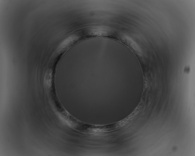 X0000102340163200808081139