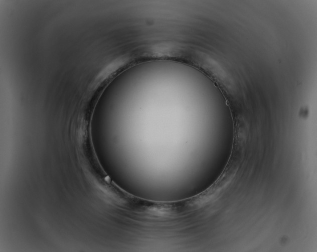 X0000102340164200808081139