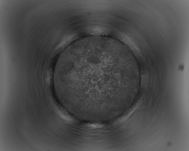 X0000102340165200808081139