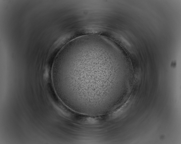 X0000102340166200808081139