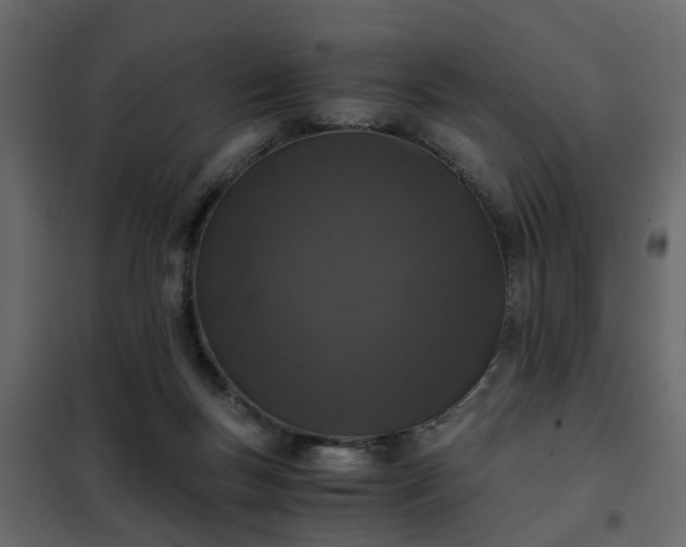 X0000102340167200808081139