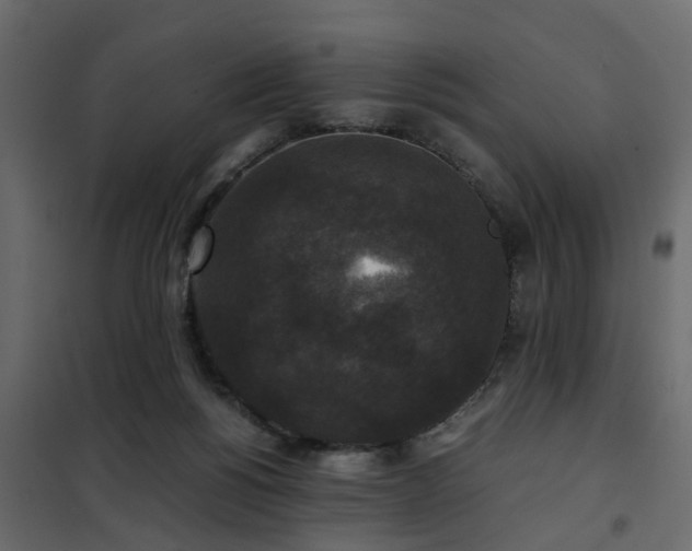 X0000102340168200808081139