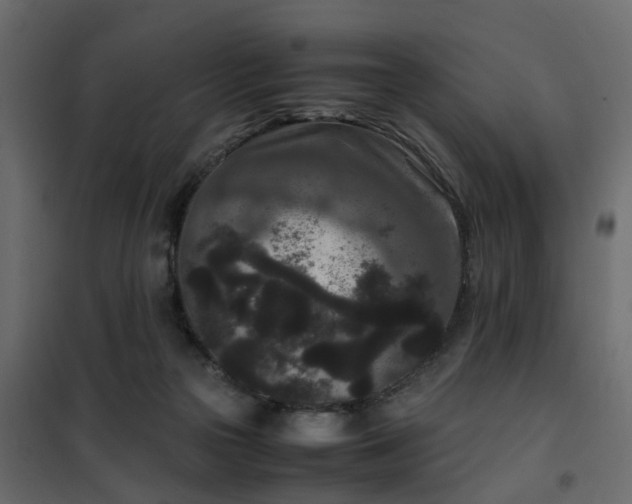 X0000102340169200808081139