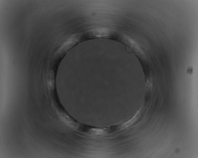 X0000102340170200808081139