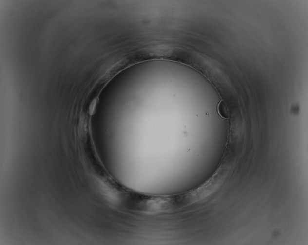 X0000102340172200808081139