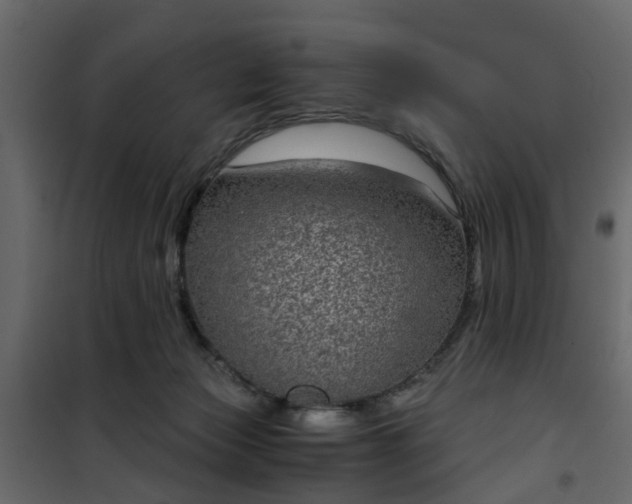 X0000102340173200808081139