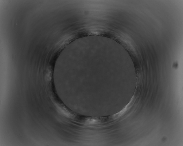 X0000102340174200808081139