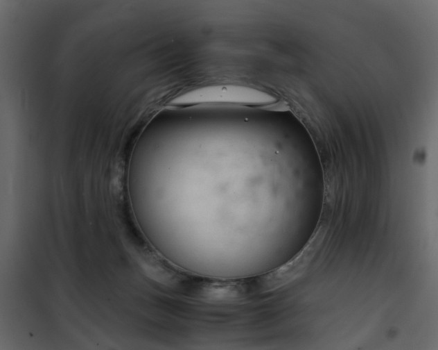 X0000102340175200808081139