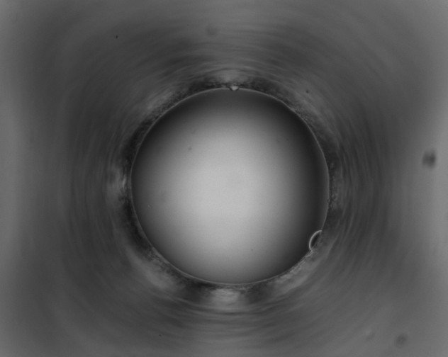 X0000102340176200808081139