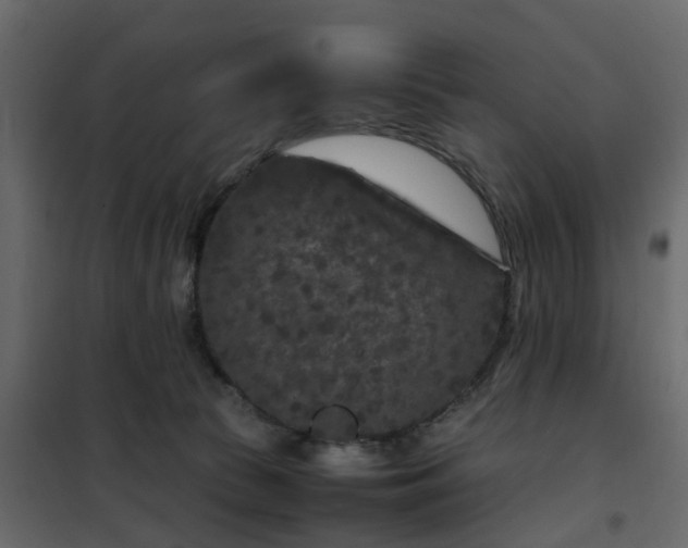 X0000102340177200808081139