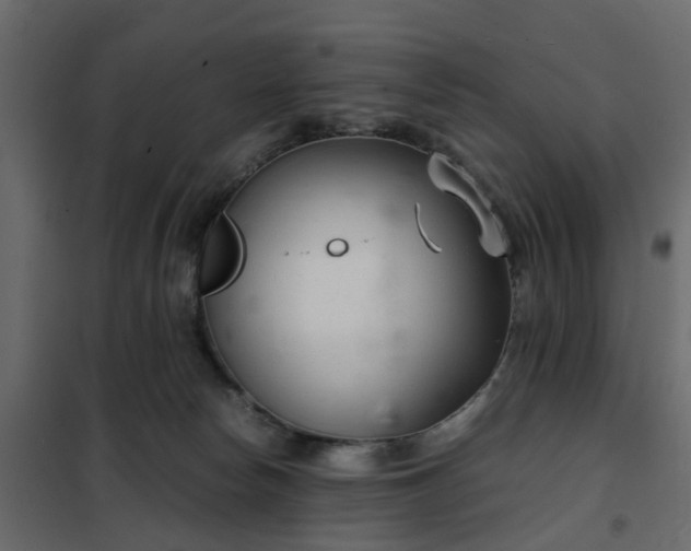 X0000102340178200808081139