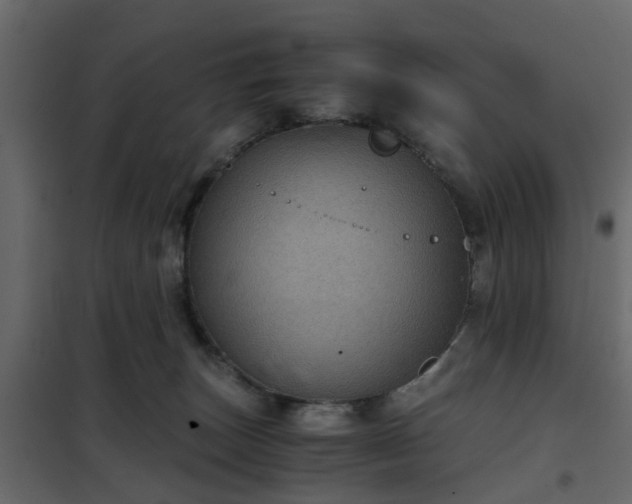 X0000102340179200808081139