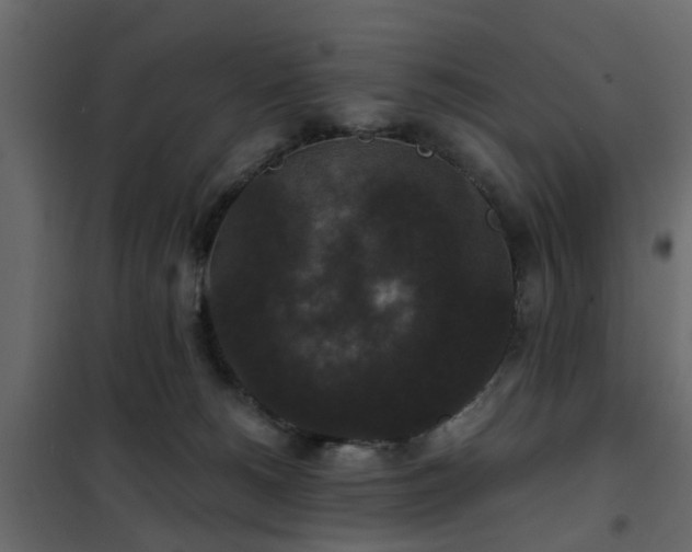 X0000102340180200808081139