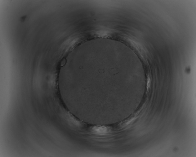 X0000102340181200808081139