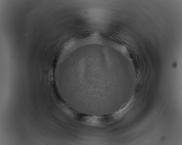 X0000102340182200808081139