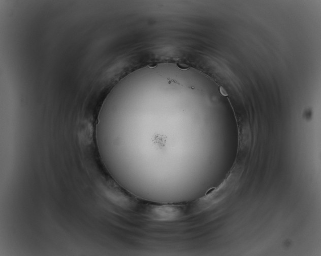 X0000102340183200808081139