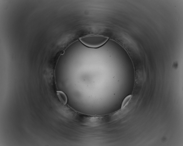 X0000102340184200808081139