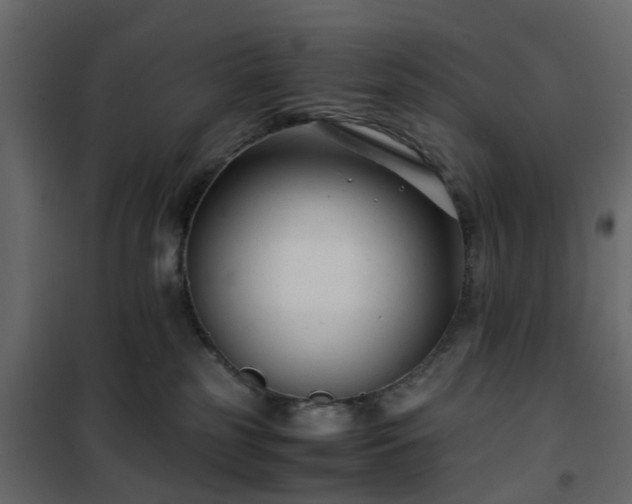 X0000102340185200808081139