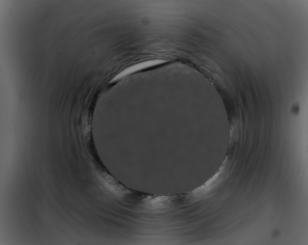 X0000102340186200808081140