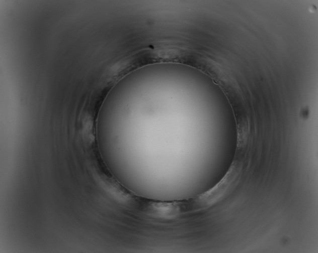 X0000102340187200808081140