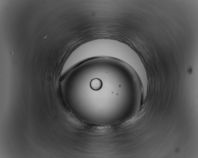 X0000102340188200808081140