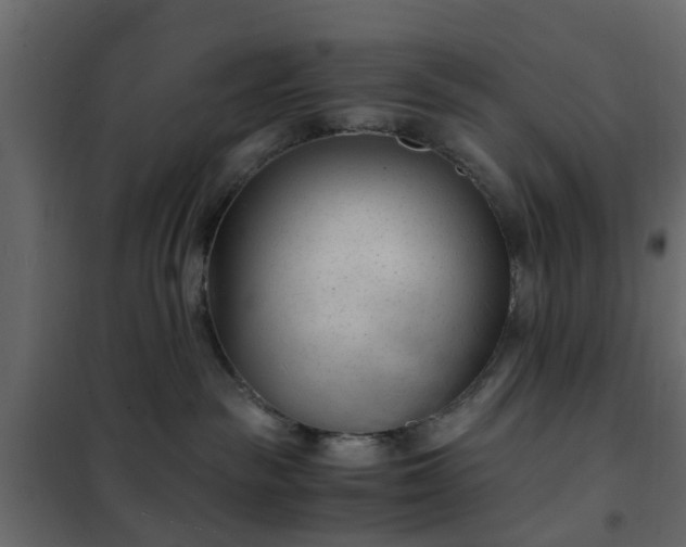 X0000102340189200808081140