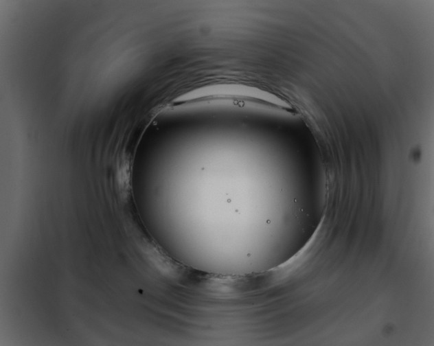 X0000102340190200808081140