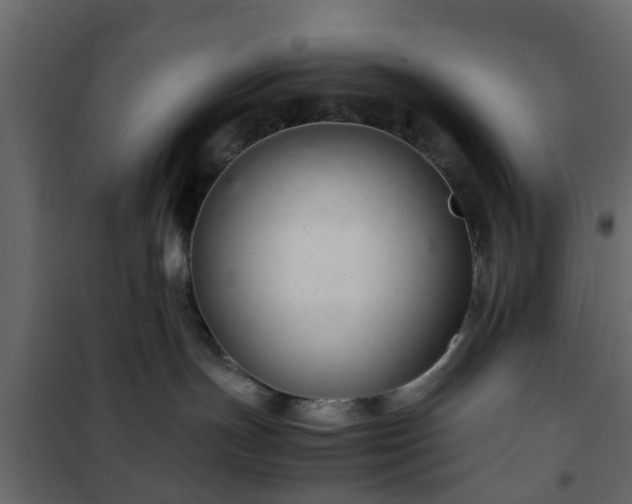 X0000102340191200808081140