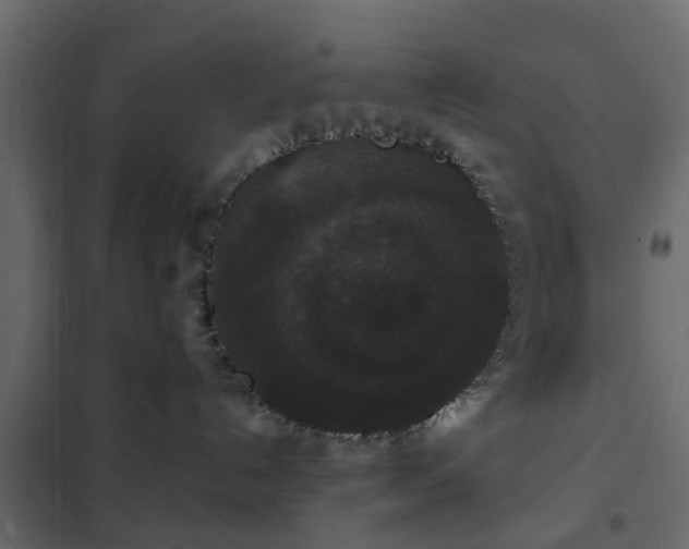 X0000102340192200808081140