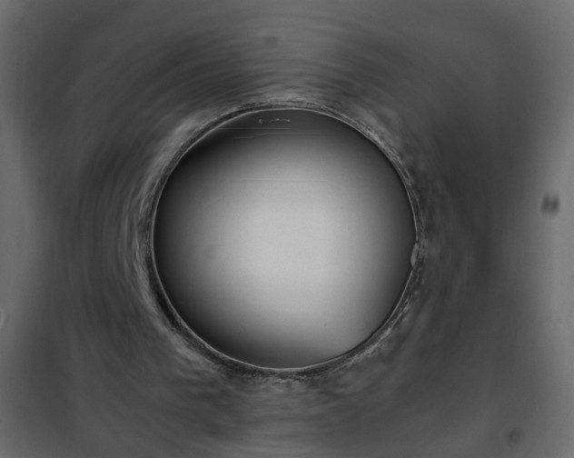 X0000102340193200808081139