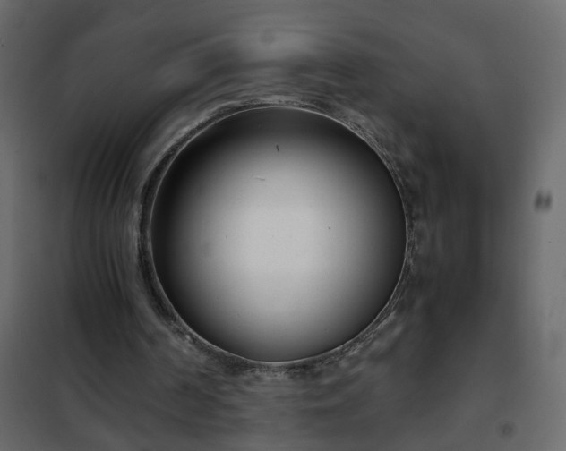 X0000102340194200808081139