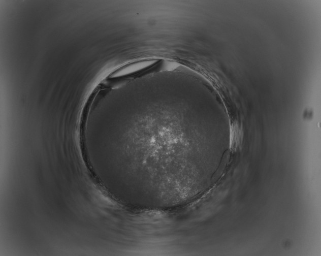 X0000102340195200808081139